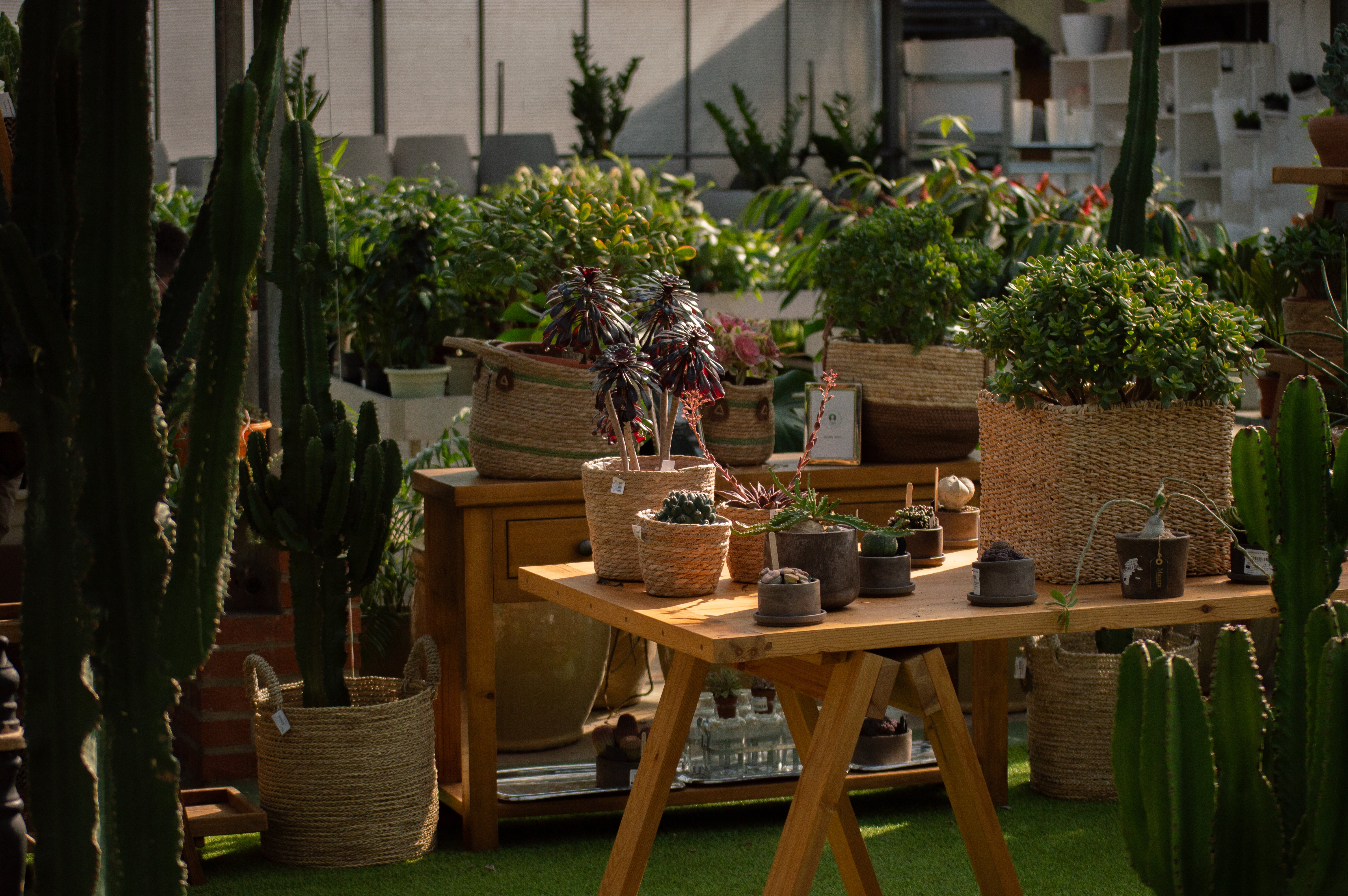 Ecopark srl