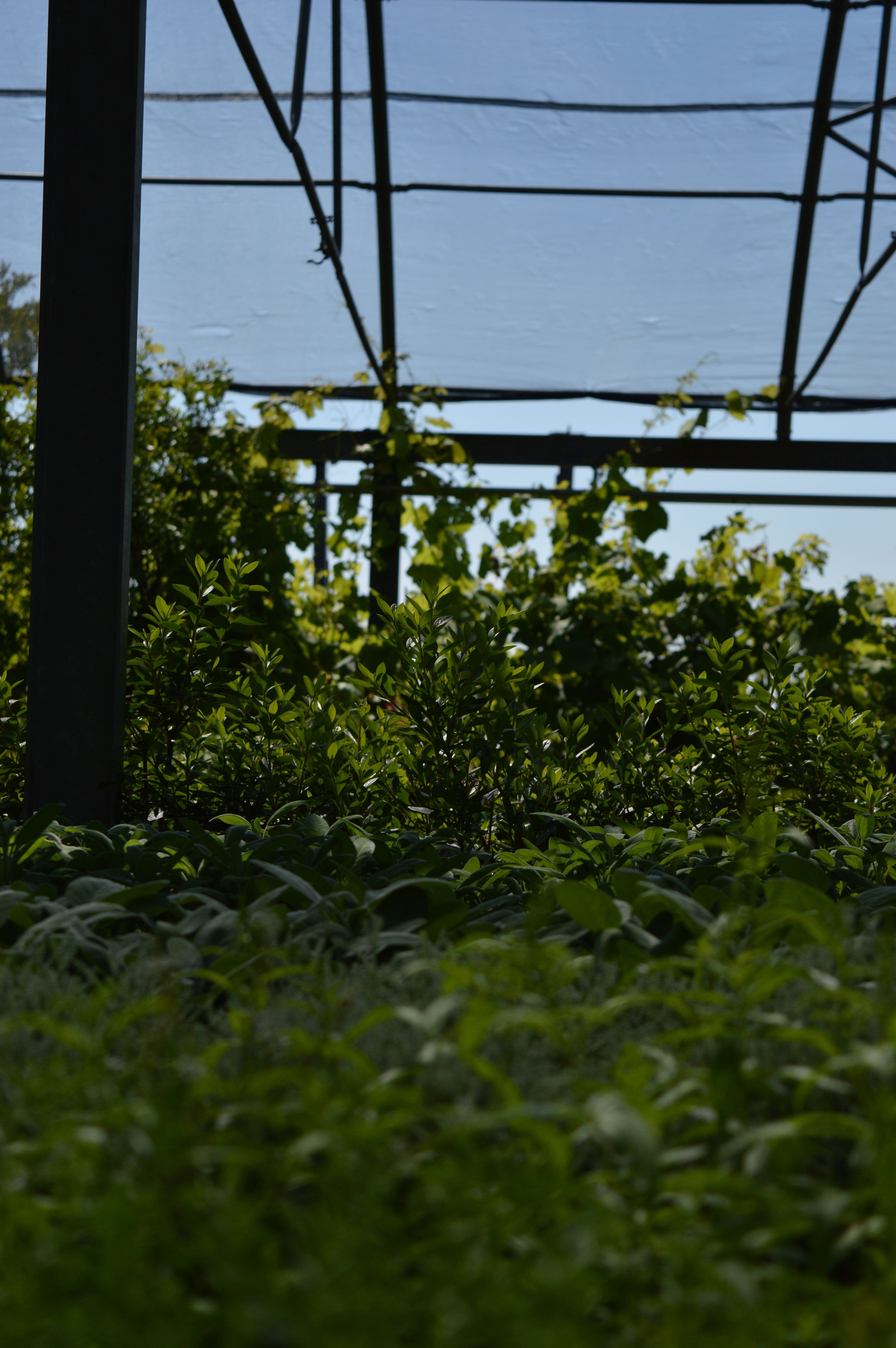 Ecopark srl