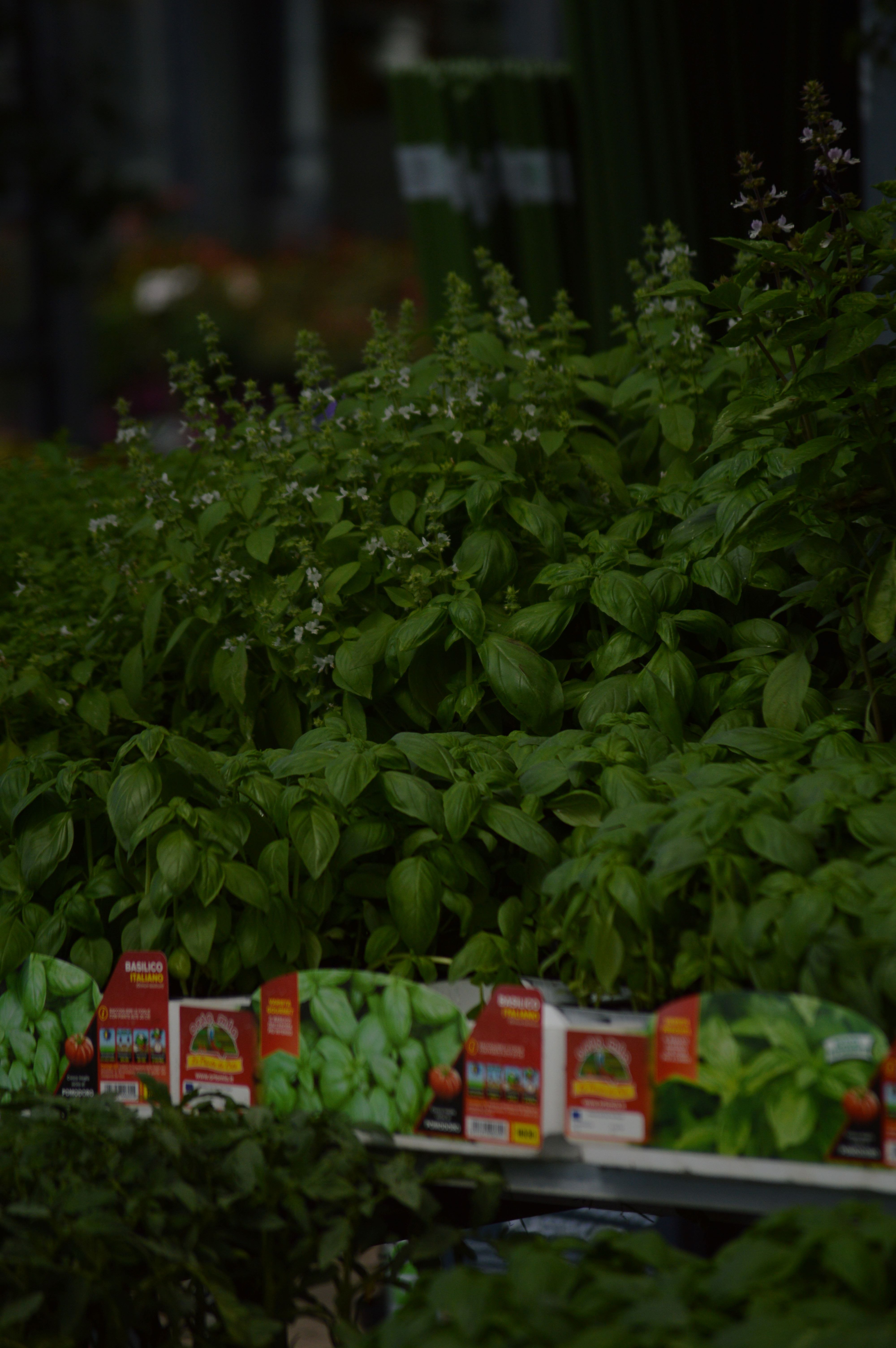 Ecopark srl