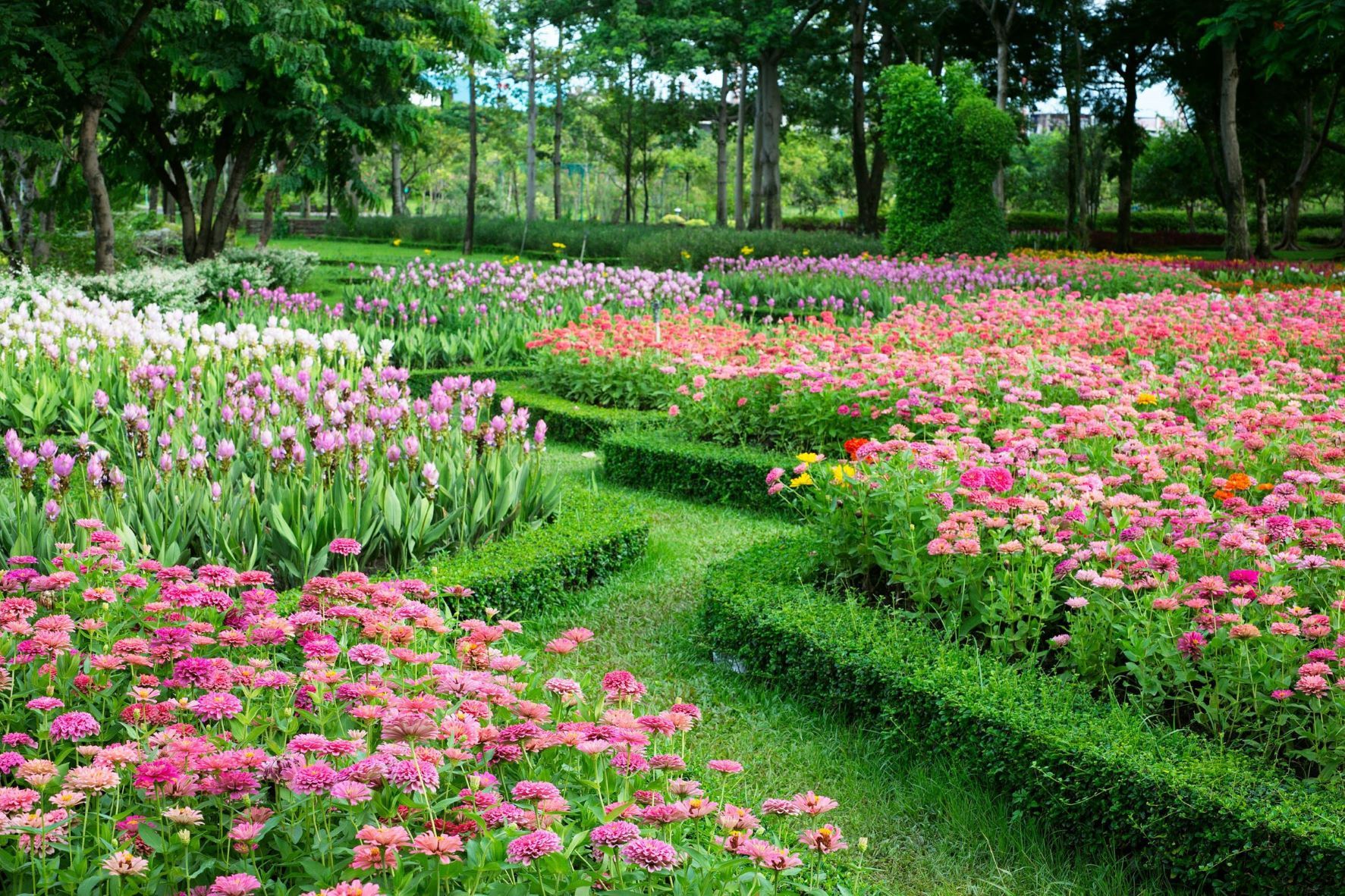 Ecopark srl